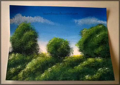 Acrylic paint 'Meadow'