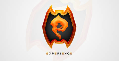 Experience logo