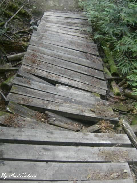 Brige by Babii-Cake on DeviantArt