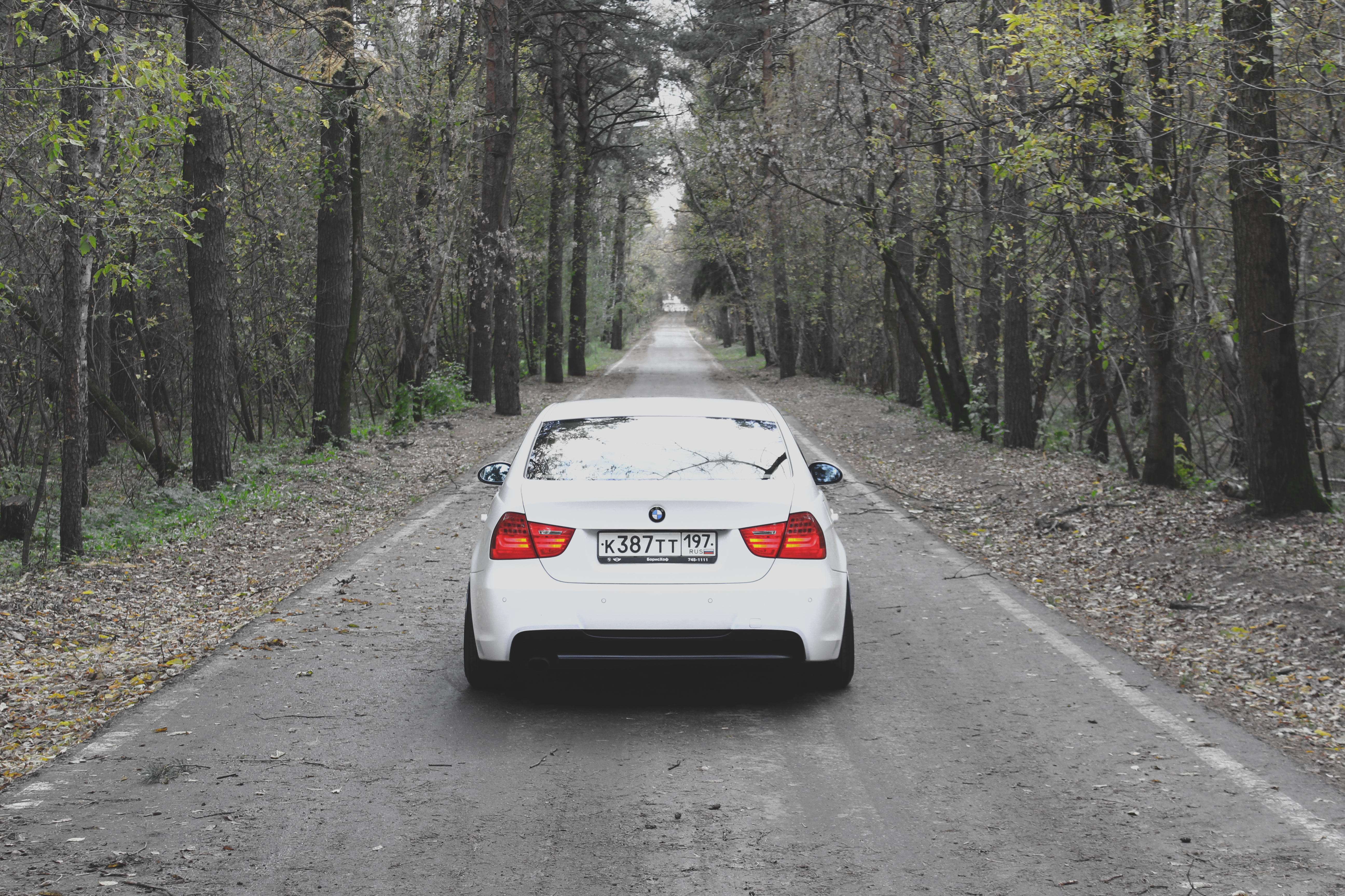 Autumn photoset of Slammed BMW E90 8