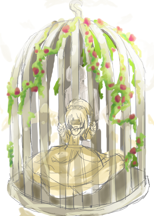 Within This Small Birdcage...?