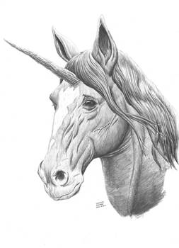 Unicorn