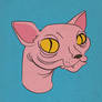 Hairless Cat