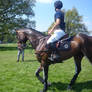 Chatsworth Horse Trials Stock 34