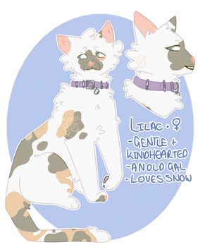 [C] lilac