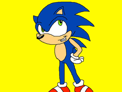 Favorite sonic characters 1 Sonic