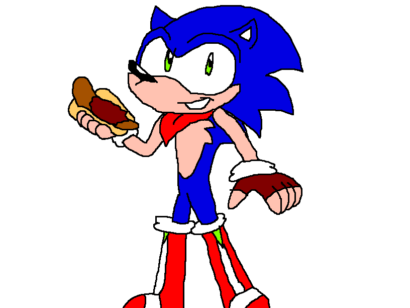 The Future Sonic