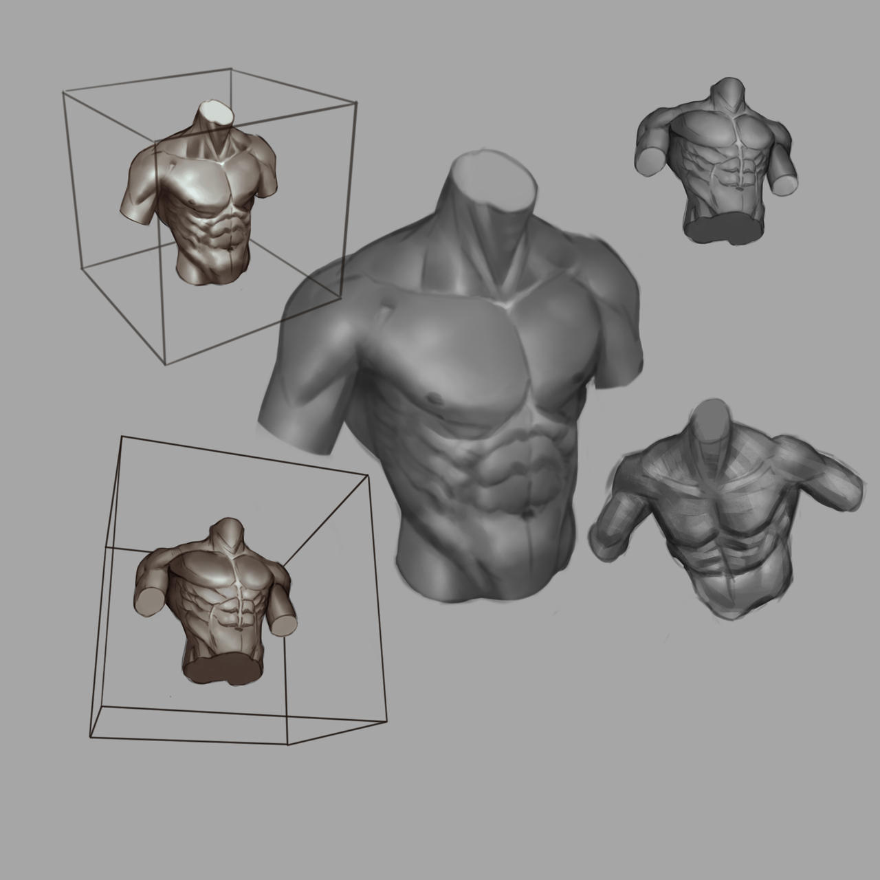 Writhing Torso 02 Practice Torso by Medaipan on DeviantArt