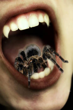 Eating spiders, yummie