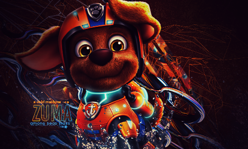 Zuma Deviantart Zuma (PAW Patrol) by johnnygatthird on DeviantArt