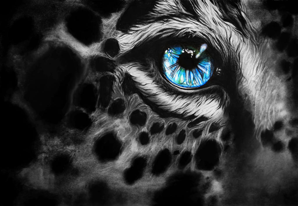 Snow Leopard by fuzzyfrogs on DeviantArt