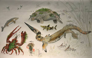 Submerged grasslands fauna list pt.1