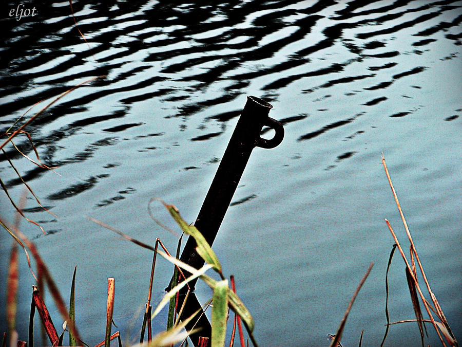 metal reeds by levynda on DeviantArt