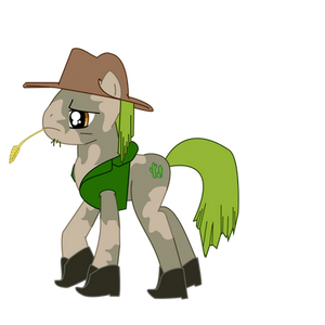 MLP OC -  Cactus Patch