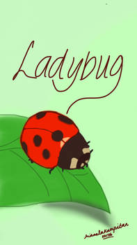 Ladybug 