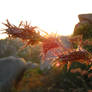 Sunset at Hampi