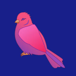 Magenta bird