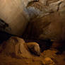 Cave Wall and Dirt Floor - Mammoth Cave