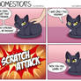 Domesticats - Cat problems