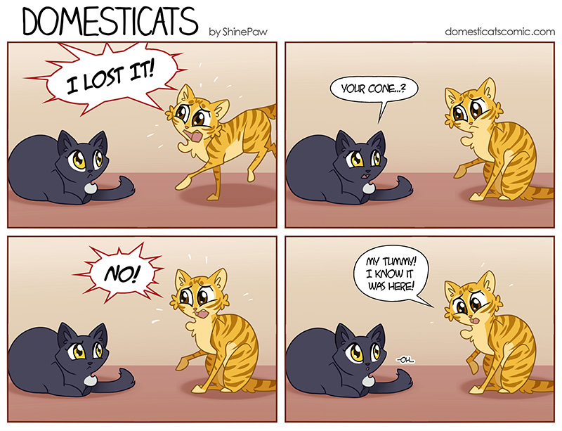 DomestiCats - Lost by ShinePawArt on DeviantArt