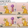 DomestiCats - Cat VS phone