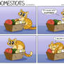 DomestiCats - Fluffiness