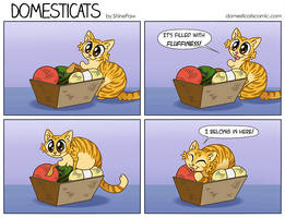 DomestiCats - Fluffiness