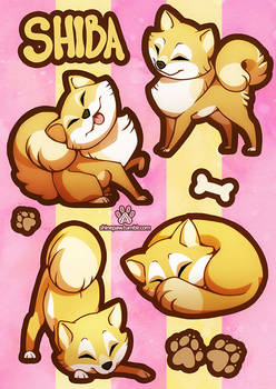 Shiba Sticker