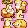 Shiba Sticker