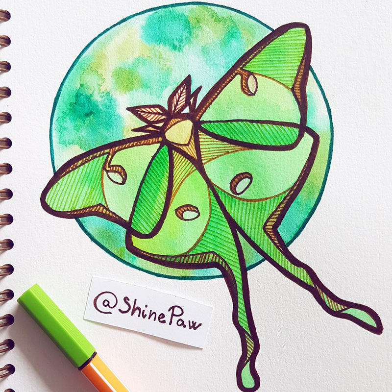 Luna Moth Angular Watercolor Painting By Shinepawart On Deviantart Luna Moth Angular Watercolor Painting By Shinepawart On Deviantart