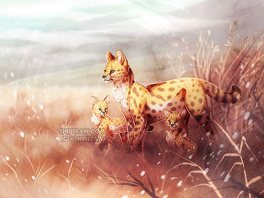 Serval Family