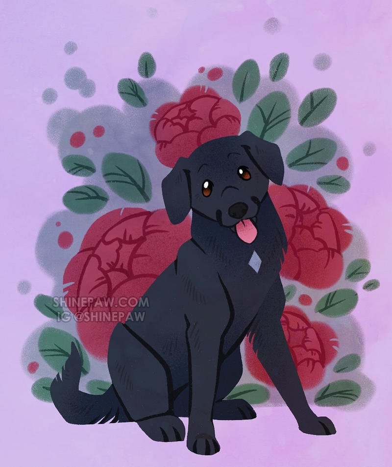 Black Lab Deviantart Black Lab Portrait by ShinePawArt on DeviantArt