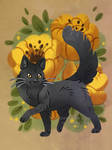 Black Kitty - Pet portrait commission by ShinePawArt