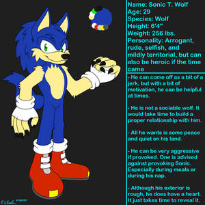 Sonic T. Wolf (Wolf Sonic AU Revamp)
