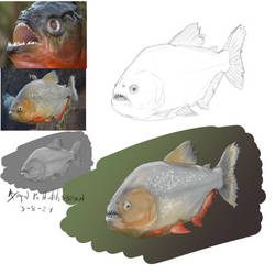 Piranha Study