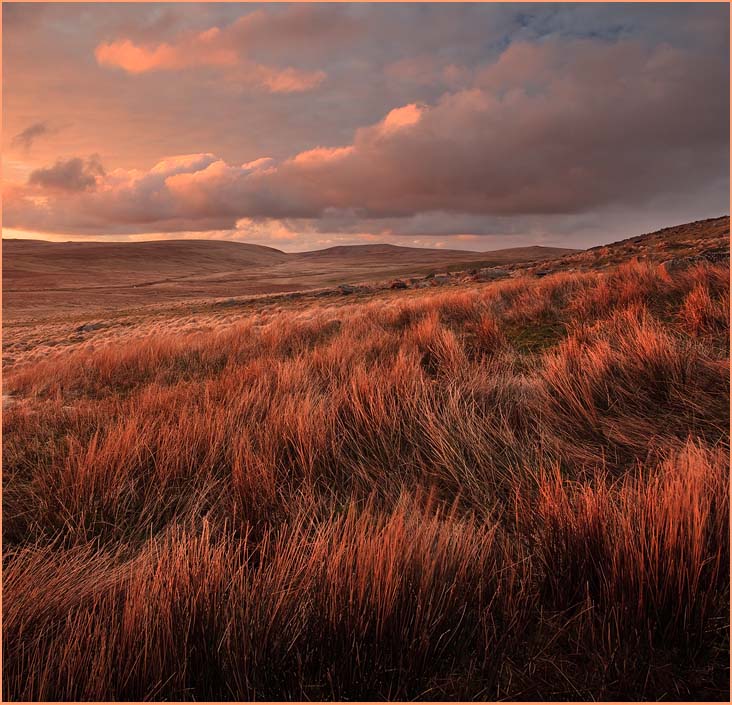 dance of the rushes