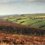devon undulates