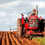 ploughing match