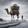 Camel Courier