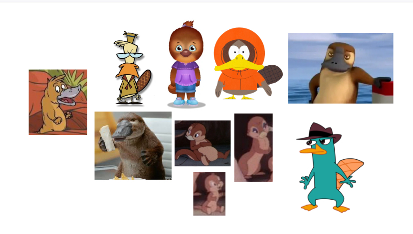 Whats Youre Favorite Type Of Platypuses? by RyderKitt on DeviantArt