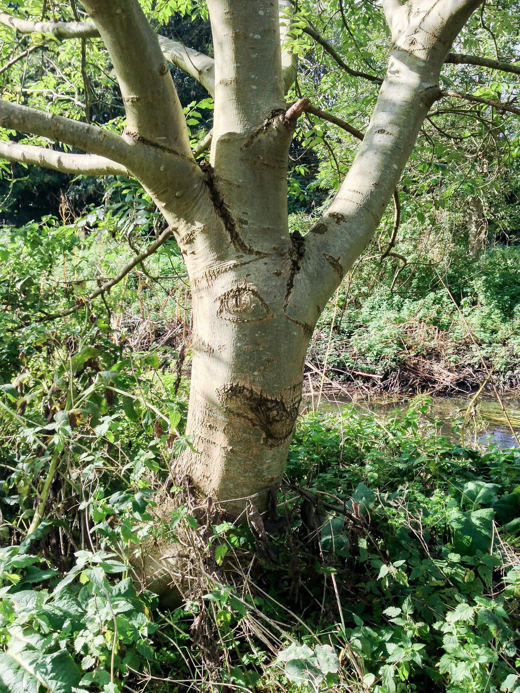 Smily Happy Frankentree