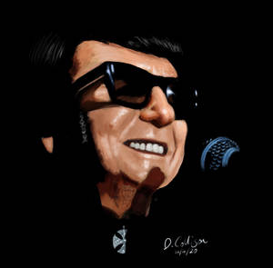 Roy Orbison the later years 
