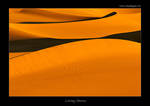 Living Dunes by tomaskaspar