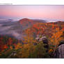 Autumn morning