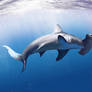 Hammerhead