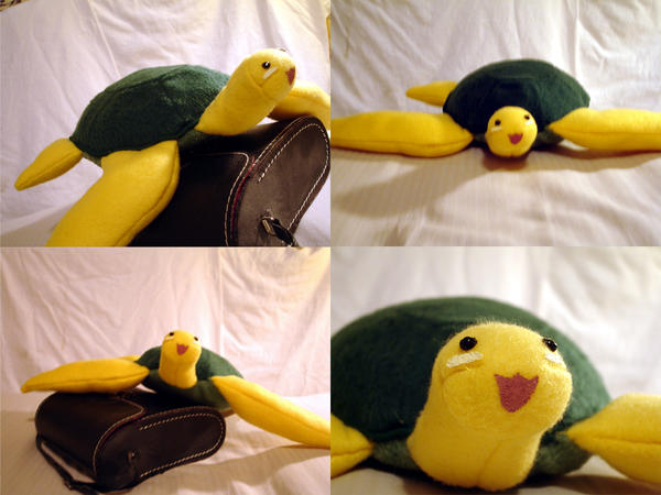 Tama-chan - Onsen Turtle