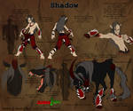 Shadow Concept by AstroZerk