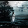Avalon in the Mists