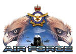 RAAF Eagles and Pilot