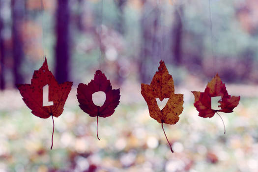 WALLPAPER 10 {Love}